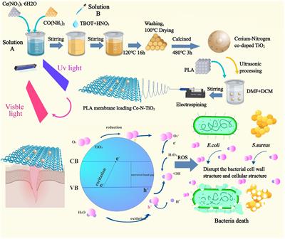 Polylactic acid electrospun membrane loaded with cerium nitrogen co-doped titanium dioxide for visible light-triggered antibacterial photocatalytic therapy